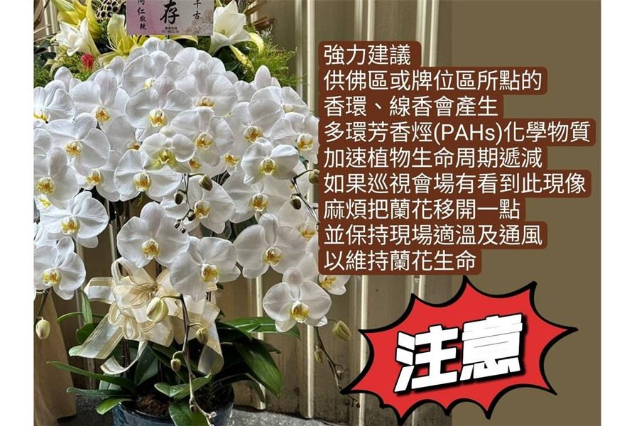 靈堂蘭花應注意的事項