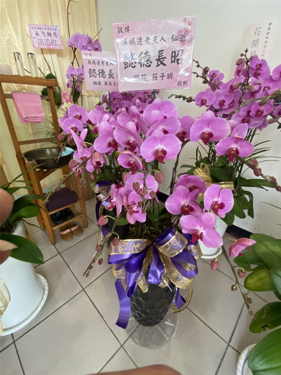 沅藝蘭花