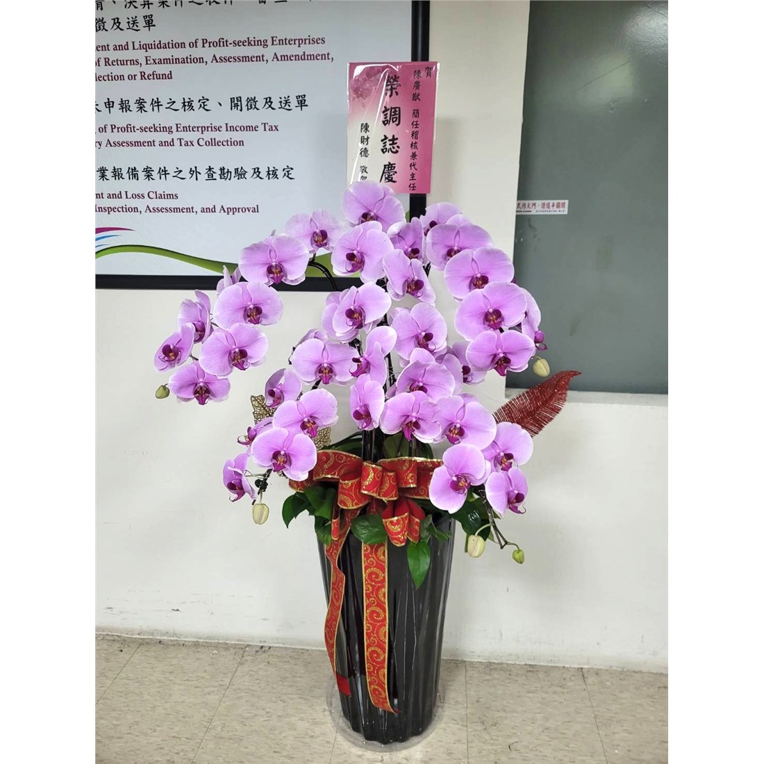 沅藝蘭花